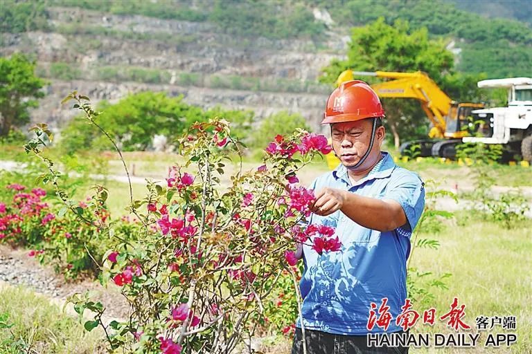 海南这座矿山，，，，，，，为何这么绿？？？？？？？4.jpg