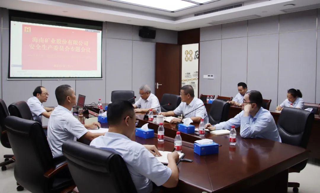 2121非凡安委会进建宣贯《关于进一步加强矿山安全出产工作的定见》