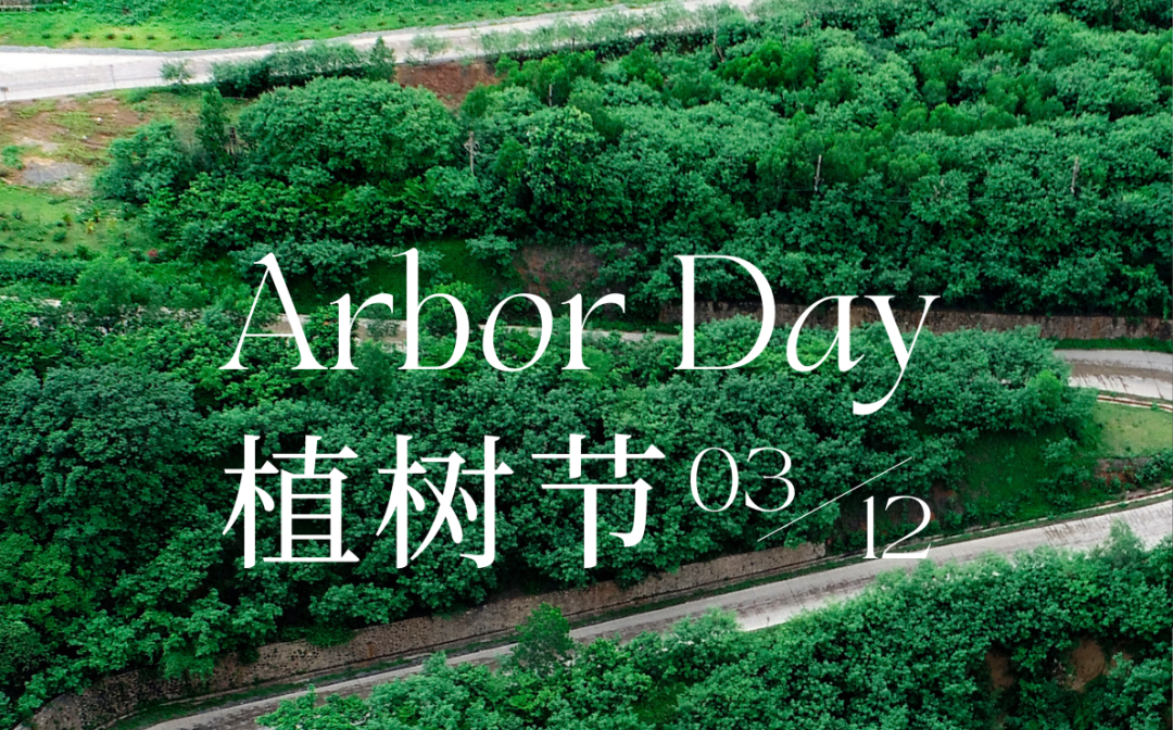 植树节 | 2121非凡的绿色画卷
