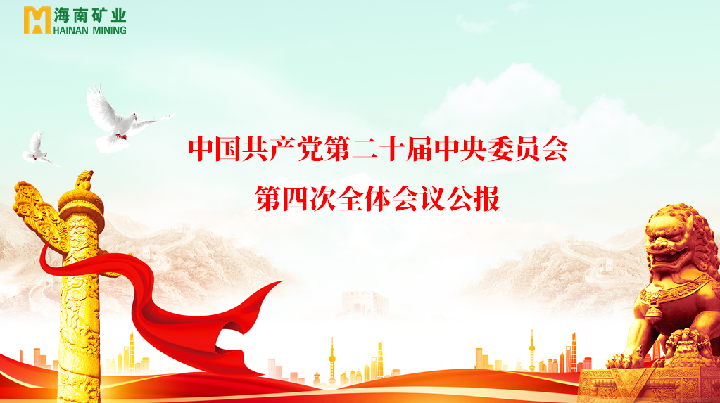 2121非凡党委进建贯彻党的二十届四中全会心灵