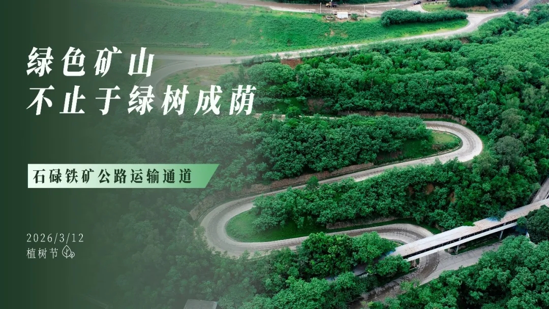 植树节 | 绿色矿山，，，，，，，，不止于绿树成荫